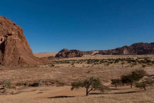 自然の岩の形成と木 サハラ砂漠のEnnedi高原 チャド アフリカ — ストック写真