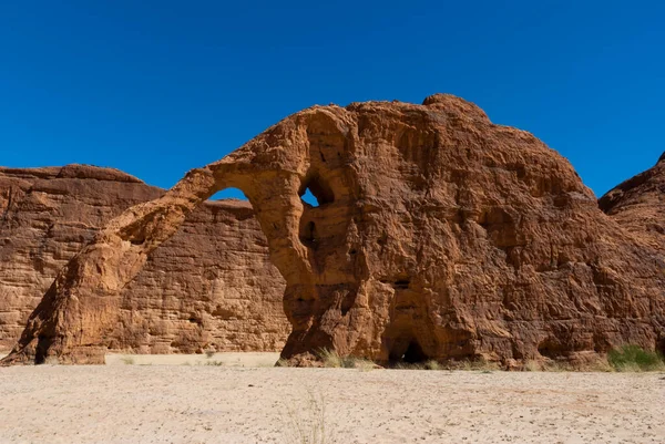 Formação Rochosa Natural Forma Elefante Planalto Ennedi Sobremesa Saara Chade — Fotografia de Stock