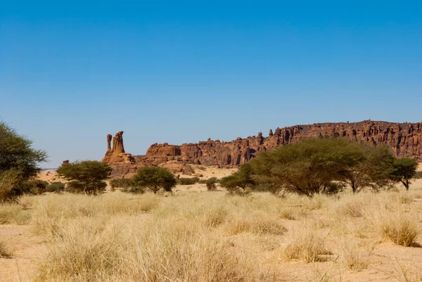 Formación Rocas Naturales Vegetación Desértica Hierba Seca Árboles Bajos Desierto — Foto de Stock