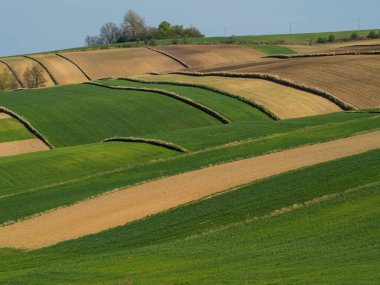 Kırsal baharda sürülen tarlaların manzarası. Yeşil çimenler ve ağaçlar. Ponidzie. Polonya