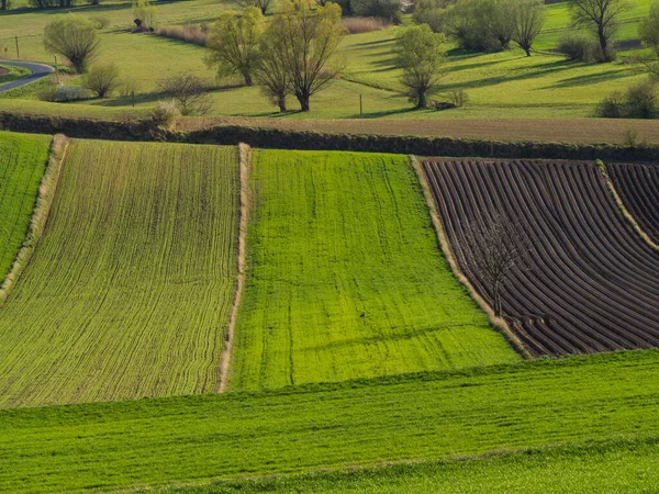 Kırsal baharda sürülen tarlaların manzarası. Yeşil çimenler ve ağaçlar. Ponidzie. Polonya