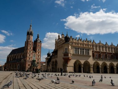 Krakow / Polonya - 22 / 04 / 2020. Coronavirus covid-19 salgını sırasında Krakow 'daki neredeyse boş ana meydan. Mariacki Kilisesi, Sukiennice ve turistler tarafından rahatsız edilmeyen güvercinlere bakın..