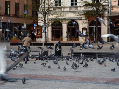 Krakow / Polonya - 22 / 04 / 2020. Krakow 'un ana meydanında covid-19 koronavirüs salgını sırasında güvercin beslemek. Turist yok, halk maskeli..