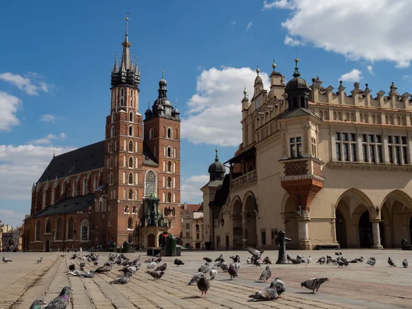 Krakow / Polonya - 22 / 04 / 2020. Coronavirus covid-19 salgını sırasında Krakow 'daki neredeyse boş ana meydan. Mariacki Kilisesi, Sukiennice ve turistler tarafından rahatsız edilmeyen güvercinlere bakın..