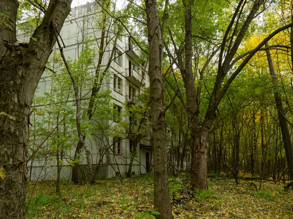 Abandoned Residential Building Previous Roads Alleys Taken Trees Bushes Ghost — Stock Photo, Image