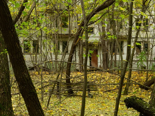 Elhagyott Lakóépület Korábbi Utakat Sikátorokat Fák Bokrok Veszik Pripyat Szellemvárosa — Stock Fotó