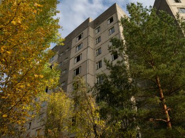 Terk edilmiş yerleşim alanı ve bina. Önceki yollar ve sokaklar ağaçlar ve çalılar tarafından alınır. Pripyat hayalet kasabası, Çernobil Yasaklama Bölgesi. Ukrayna.