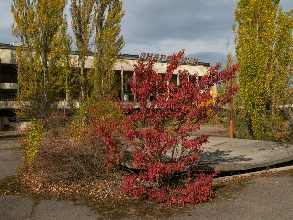 House Culture Energetika Elhagyott Szellemváros Pripyat Poszt Apokaliptikus Város Őszi — Stock Fotó