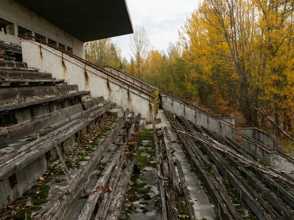 Tribune Abandonnée Stade Sportif Avangard Prise Par Nature Dans Ville — Photo