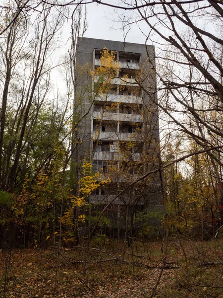 Elhagyott Lakóterület Épület Korábbi Utakat Sikátorokat Fák Bokrok Veszik Pripyat — Stock Fotó