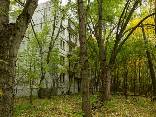 被遗弃的居民楼 以前的道路和小巷被树木和灌木丛所占据 位于切尔诺贝利禁区普里皮亚特的鬼城 乌克兰 — 图库照片