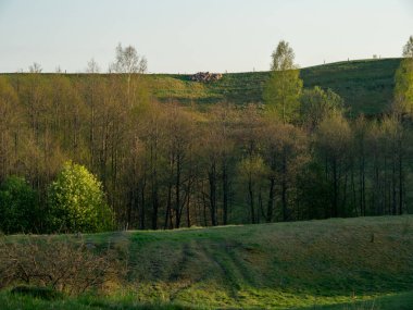Bachanowo adı verilen kaya tarlaları, buzul sonrası bir manzara. Suwalski peyzaj alanı, Podlaskie, Polonya
