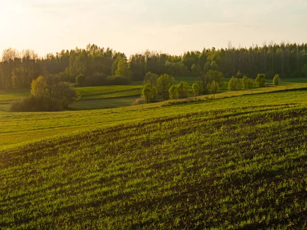 Champs Printemps Terres Agricoles Coucher Soleil Parc Paysager Suwalski Podlaskie — Photo