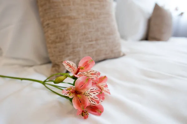 Όμορφο Λουλούδι Στο Κρεβάτι Στο Δωμάτιο Του Ξενοδοχείου — Φωτογραφία Αρχείου