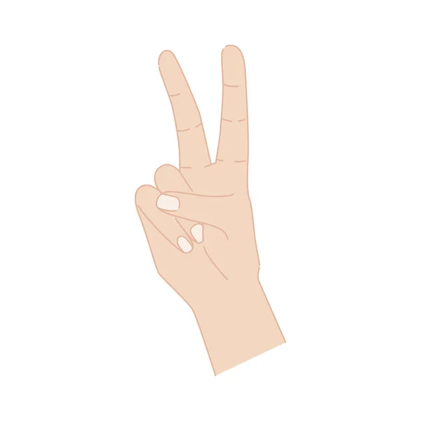 Győzelmi kéz jel elszigetelt fehér háttérrel. Két ujj béke szimbólum. — Stock Vector