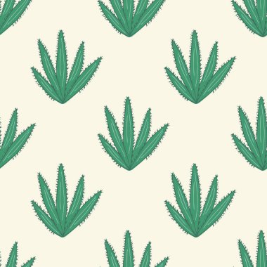 Kaktüs dikişsiz desen. Kaktüs karalama duvar kağıdı çizimi