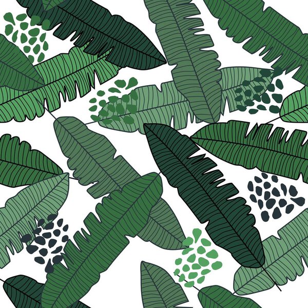 Banana leaf seamless pattern on white background. Jungle plant wallpaper.