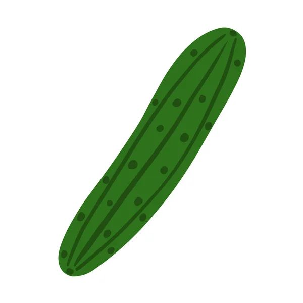 Pepino dibujado a mano aislado sobre fondo blanco. Fideos vegetales . — Vector de stock