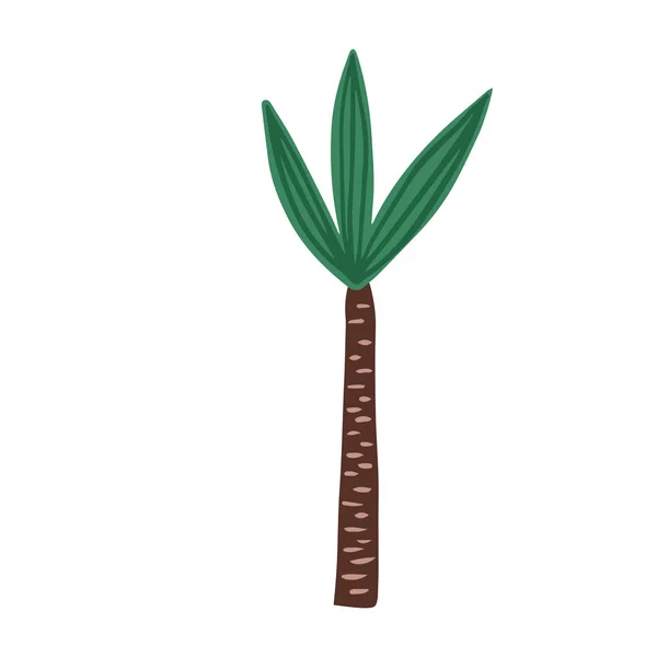 Palma disegnata a mano isolata su sfondo bianco. Doodle albero esotico foresta pluviale . — Vettoriale Stock