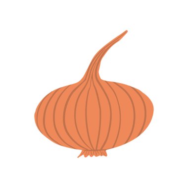 Beyaz arka planda elle çizilmiş soğan. Soğan soğanı sebzesi