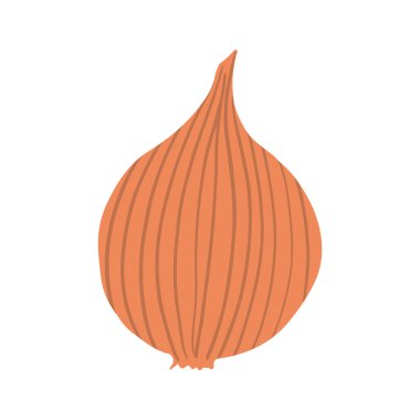 Soğan soğanı soğanı sebzesi. Elle çizilmiş soğan biçimi izole