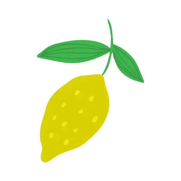 Lemon in doodle style isolated on white background. Summer fruit vector illustration. — Stock Vector