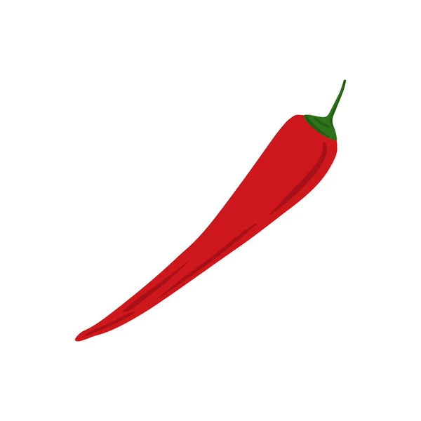 Chilli vermelho desenhado à mão isolado sobre fundo branco. Doodle pimenta caiena vegetal . —  Vetores de Stock