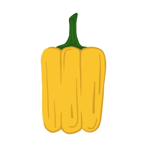 Gelber Paprika isoliert auf weißem Hintergrund. Handgezeichnetes Paprika-Gemüse. — Stockvektor