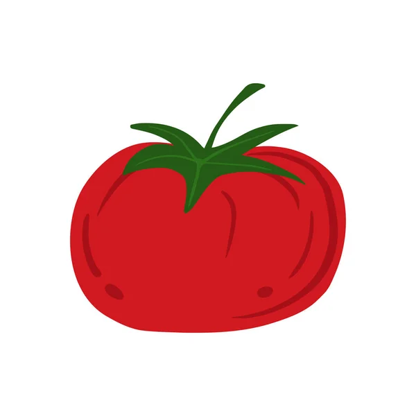 Ντομάτα σε στυλ doodle απομονωμένη σε λευκό φόντο. Ντομάτες χειροποίητες. — Διανυσματικό Αρχείο