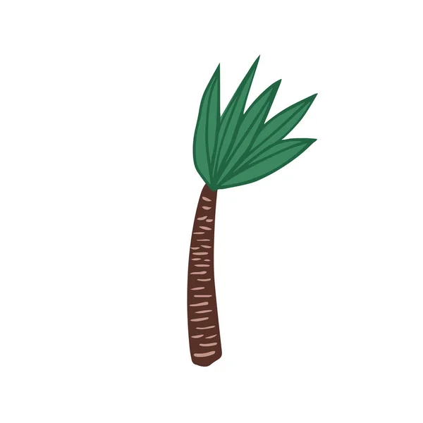 Palmier en style doodle isolé sur fond blanc. Arbre de forêt tropicale exotique dessiné à la main . — Image vectorielle