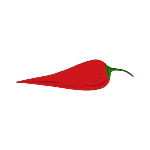 Rouge chilliin style dessiné à la main isolé sur fond blanc. Caniche poivre de Cayenne légume . — Image vectorielle