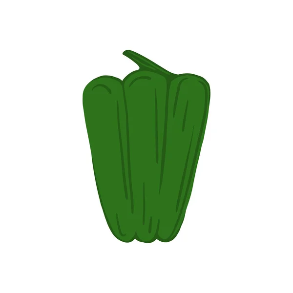 Green bell pepper isolated on white background. Hand drawn paprika vegetable. — 스톡 벡터