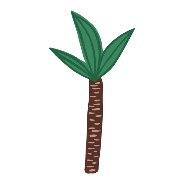 Doodle palmier unique. Arbre exotique de forêt tropicale dessiné à la main isolé sur fond blanc . — Image vectorielle