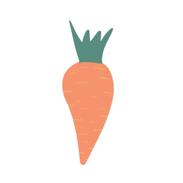 Carota in stile doodle isolata su sfondo bianco. Ortaggi a mano . — Vettoriale Stock