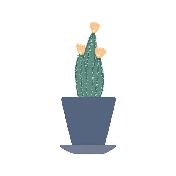Cactus flor amarilla aislada sobre fondo blanco. Cactus verde espinoso en macetas . — Vector de stock