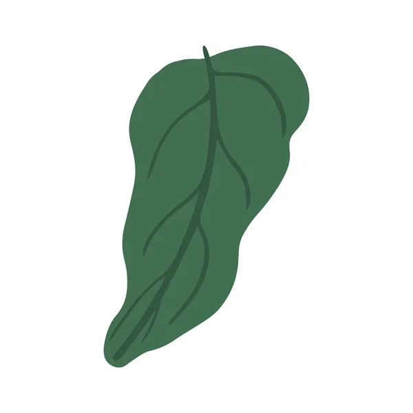 Hoja verde aislada sobre fondo blanco. Ilustración simple — Vector de stock