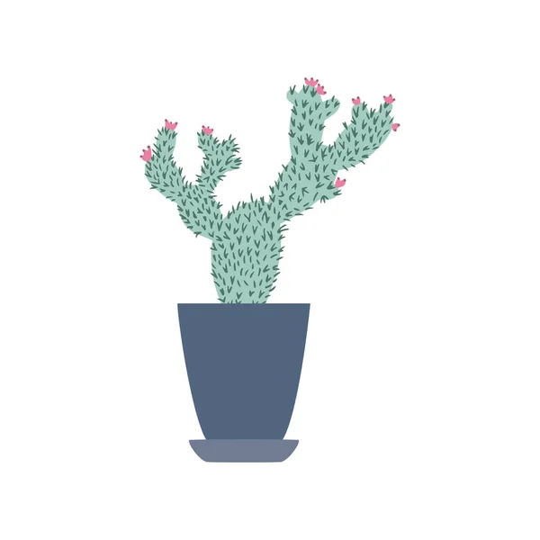 Flor simple de cactus aislada sobre fondo blanco. Cactus verde espinoso en macetas . — Vector de stock