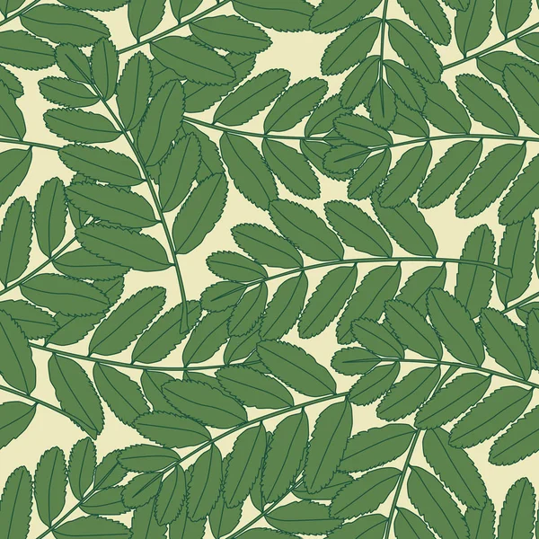 Modello senza cuciture con contorno foglie verdi. Carta da parati botanica. Estate foglia vintage . — Vettoriale Stock