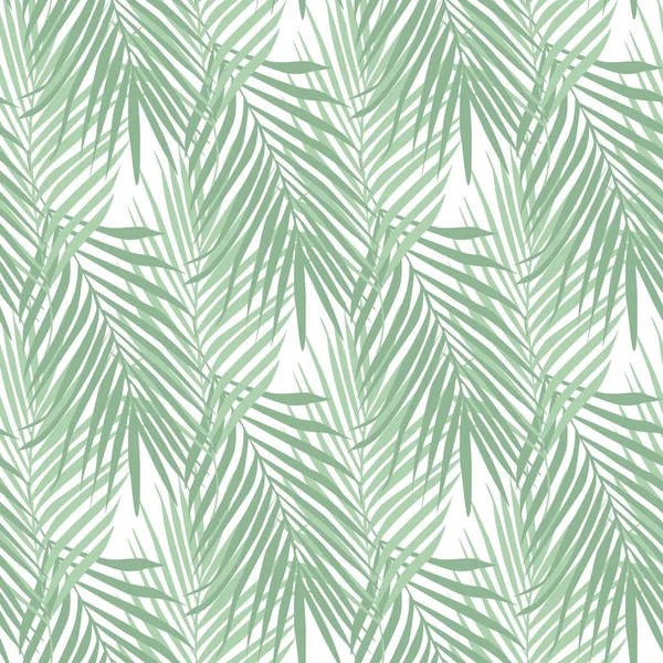 Fougère Tropicale Laisse Motif Sans Couture Sur Fond Blanc Illustration — Image vectorielle