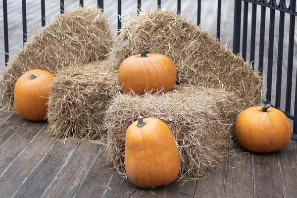 Several yellow pumpkins lie on hay bales. Pumpkin autumn, concept of Halloween and autumn harvest festival. Farm green product. — Stock Photo, Image