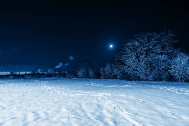 2020 yılının klasik mavi renginde kış manzarası. Karda ağaçlar olan gece doğası. Bir sürü pofuduk kar. Ay mavi gökyüzünde parlıyor. Şehir manzarası