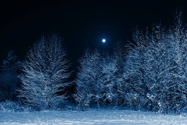Zimowy Krajobraz Trend Tonowany Kolor Roku 2020 Klasyczny Niebieski Nocna — Zdjęcie stockowe
