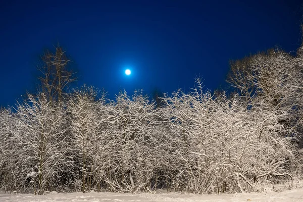 Winter Prachtig Landschap Maan Schijnt Blauwe Hemel Nacht Natuur Met — Stockfoto