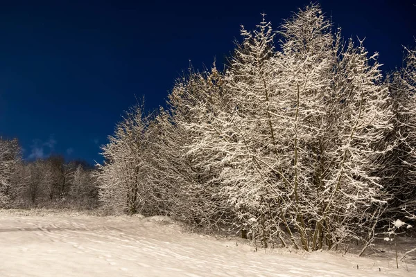 Winter Schöne Landschaft Nachtnatur Mit Bäumen Schnee Viel Flauschiger Schnee — Stockfoto