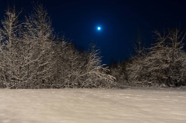 Winter beautiful landscape. The moon shines on the blue sky. Night nature with trees in the snow. A lot of fluffy snow.