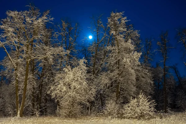 Winter Prachtig Landschap Maan Schijnt Blauwe Hemel Nacht Natuur Met — Stockfoto