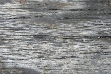 Yaşlı ağacın dokusu gridir. Tasarım yakın plan için soyut arkaplan. Doğal ahşap grunge tahtası.