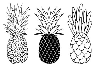 Vektör üç ananas meyve stilleri yaz tropikal nesne koleksiyonu kümesi. Büyük seyahat, yeni yıl eğlencesi daveti veya ambalaj için.