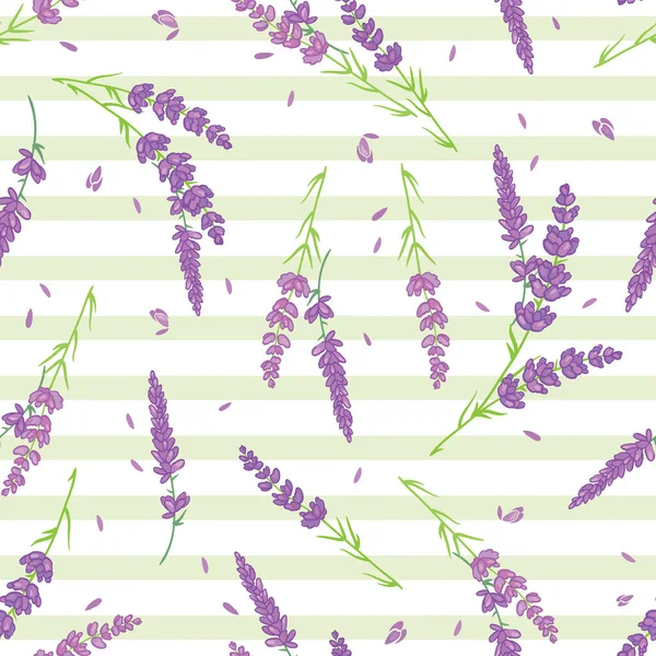 Vector lavender flowers purple green sitripes seamless pattern. Beautiful violet lavender retro background. Elegant fabric on light background — Stock Vector