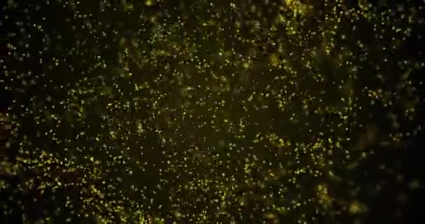 抽象流体粒子の背景 4Kモーショングラフィックス要素 — ストック動画